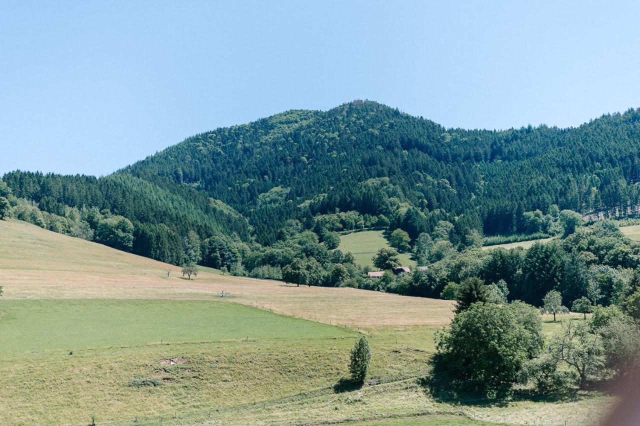 Moderne 2 Zi.-Fewo Blackforest Art Barrierefrei Naehe Freiburg Зимонсвальд Экстерьер фото